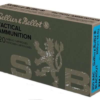 300 Blackout 500 Rounds